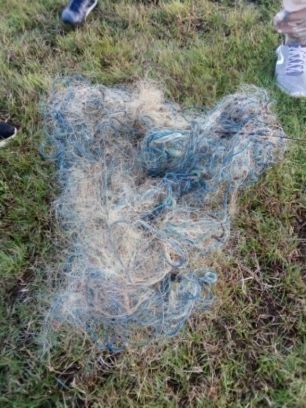 Спипаха бракониери в крачка по време на забрана