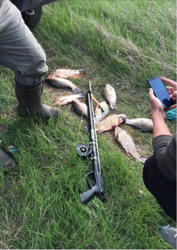 Спипаха бракониери в крачка по време на забрана