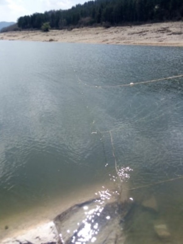 Спипаха бракониери в крачка по време на забрана