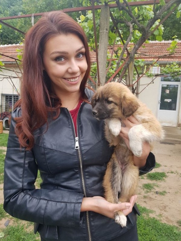 Абитуриенти дариха храна и средства за бездомните животни в Казанлък