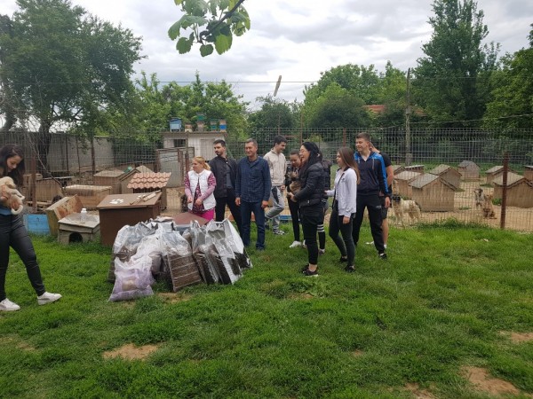 Абитуриенти дариха храна и средства за бездомните животни в Казанлък