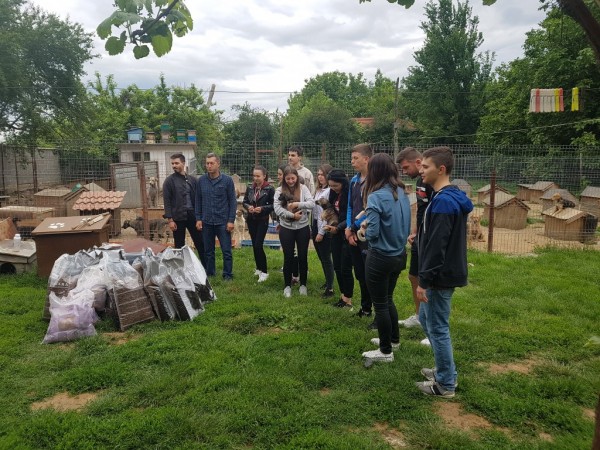 Абитуриенти дариха храна и средства за бездомните животни в Казанлък