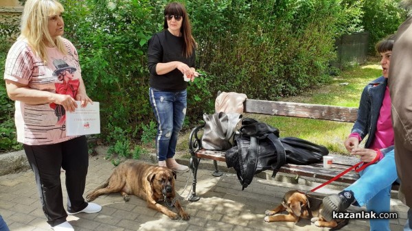 Протест срещу насилието над животни пред съда в Казанлък