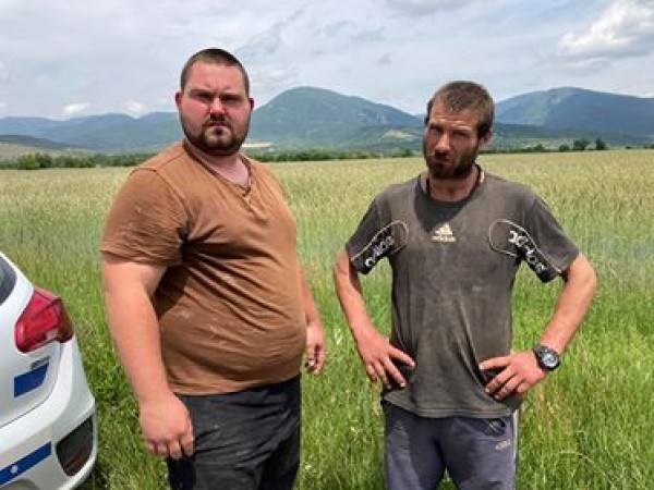 Откриха изоставено магаре, завързано на пътя Казанлък - Стара Загора