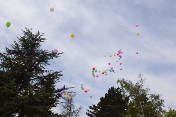 72 000 рози - в една за Празника на Казанлък