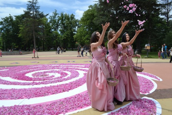 72 000 рози - в една за Празника на Казанлък