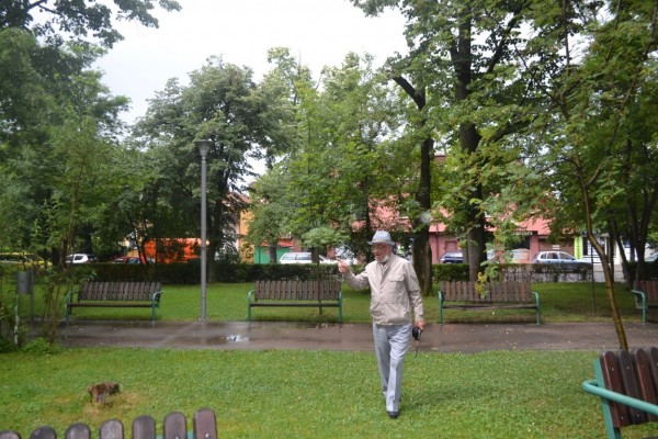 Премахване на опасно дърво в парк „Розариум“