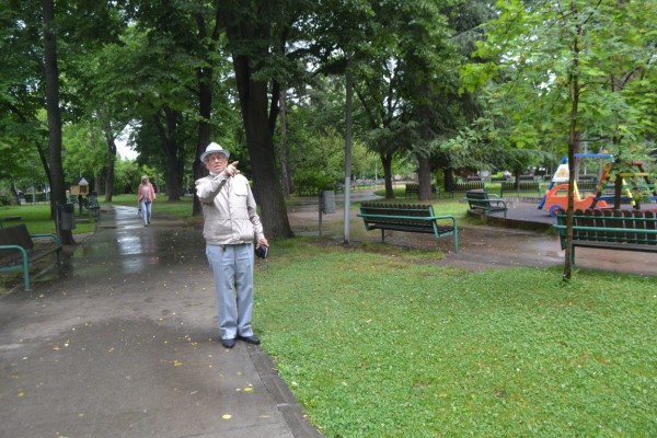 Премахване на опасно дърво в парк „Розариум“