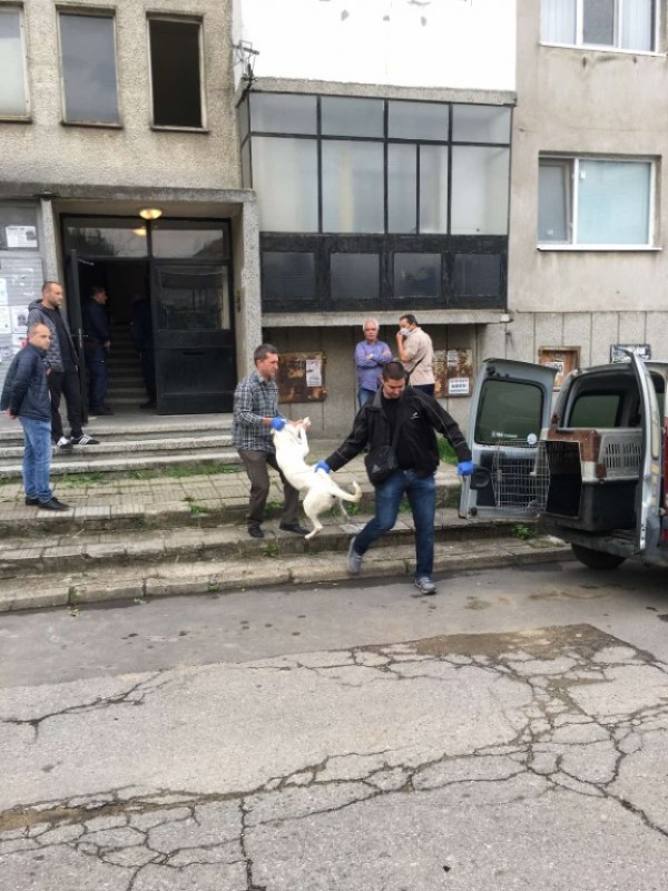 Прокуратурата с разкрития за убийствата. Намерени са ножове и сап на мястото