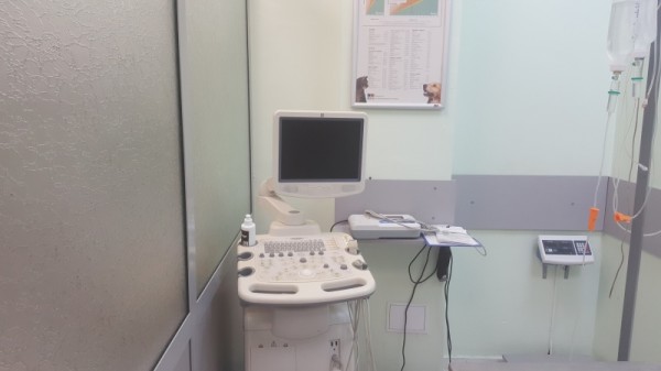 Професионална грижа и най-модерна апаратура във ветеринарна амбулатория „Зоовет“ за вашия любимец