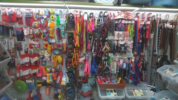 Професионална грижа и най-модерна апаратура във ветеринарна амбулатория „Зоовет“ за вашия любимец