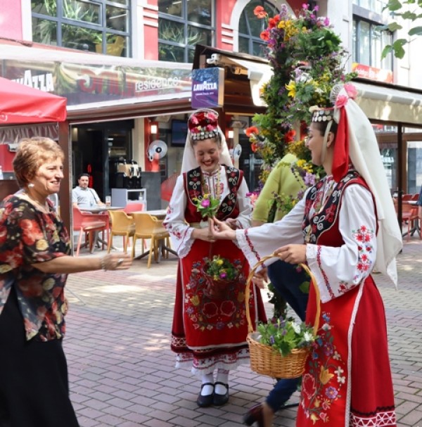 77 букетчета със „77 и половина” билки раздаде читалище „Искра” за Еньовден