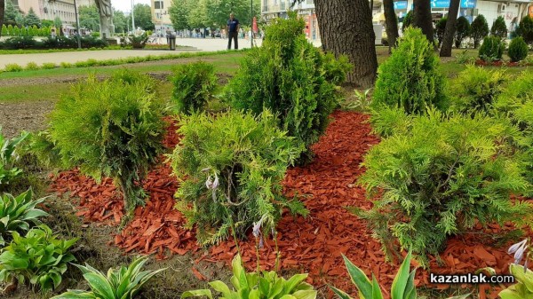 Обновеният парк – градски оазис създаден от Лора Иванова