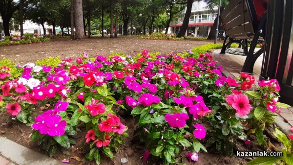 Обновеният парк – градски оазис създаден от Лора Иванова