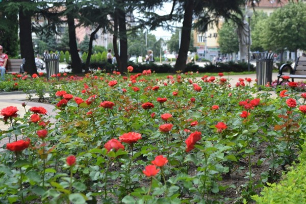 Градинката около монумента “Обединена Европа“ посрещна казанлъчани обновена