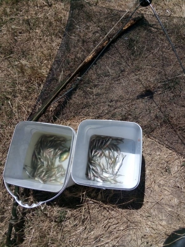 Множество актове за маломерен улов бяха съставени на Копринка и Жребчево