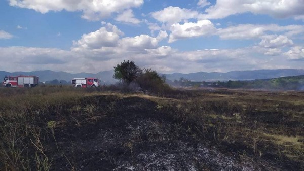 Горят стърнища край Павел баня