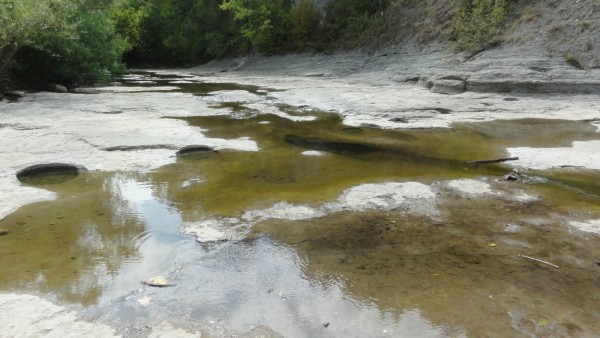 Още успехи за ориентировачите ни от държавния маратон