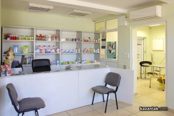 Две млади дами с една мисия - да помагат на животните