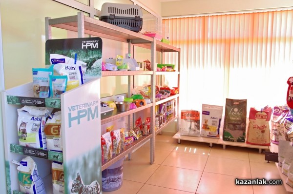 Две млади дами с една мисия - да помагат на животните