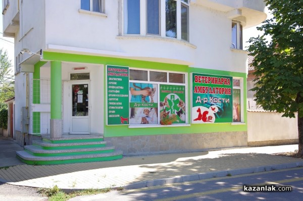 Две млади дами с една мисия - да помагат на животните