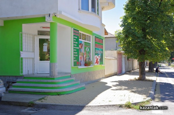 Две млади дами с една мисия - да помагат на животните