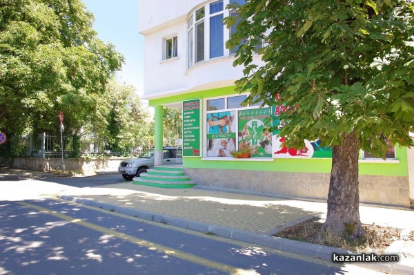 Две млади дами с една мисия - да помагат на животните