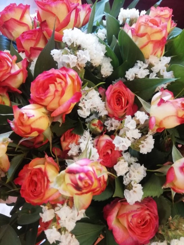 Казанлъшките училища посрещат над 7 000 ученици за учебната 2020-2021