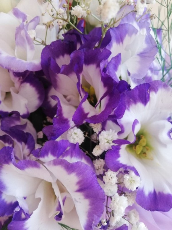 Казанлъшките училища посрещат над 7 000 ученици за учебната 2020-2021