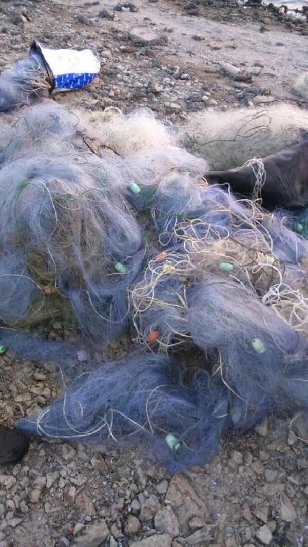 Тридневно наблюдение, спасена трофейна риба и извадени метри бракониерски мрежи на Жребчево и Тунджа