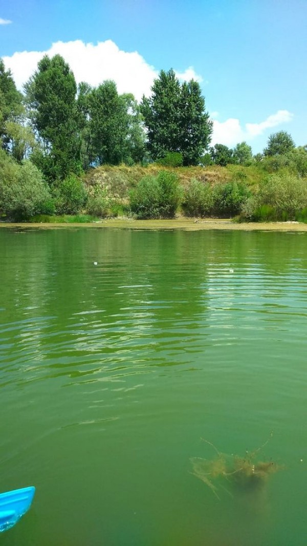 Тридневно наблюдение, спасена трофейна риба и извадени метри бракониерски мрежи на Жребчево и Тунджа