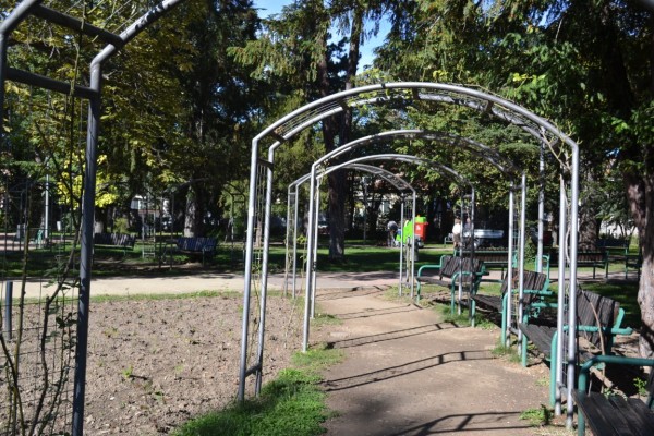 Нова екологична машина се включва в събирането на есенните листа в Казанлък