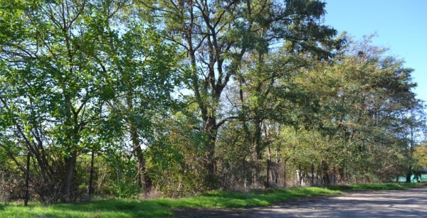 Нова оградна мрежа на стадион „Севтополис“