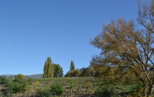 Нова оградна мрежа на стадион „Севтополис“