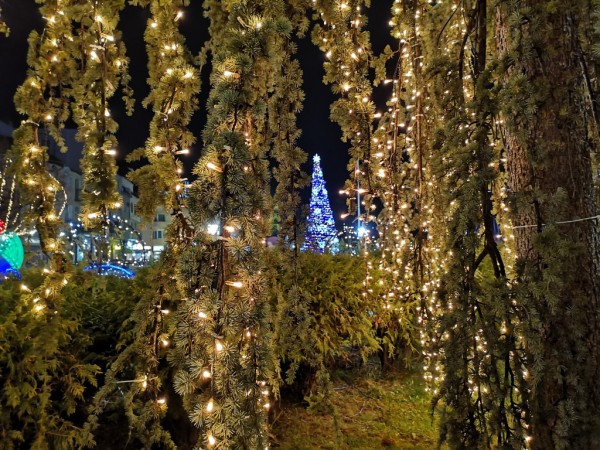 Засияха коледните светлини в Казанлък