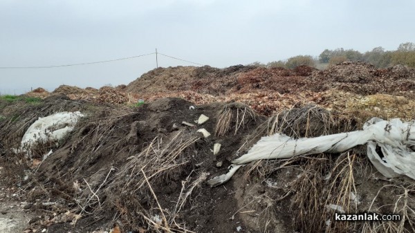 Пътят на боклука - какво се случва след контейнера?