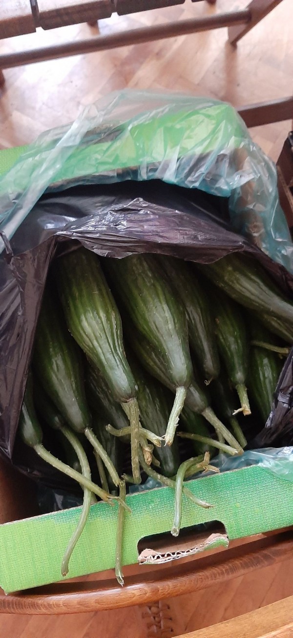 Кметство Енина и дарители отрупаха трапезите на 60 човека за новогодишната нощ