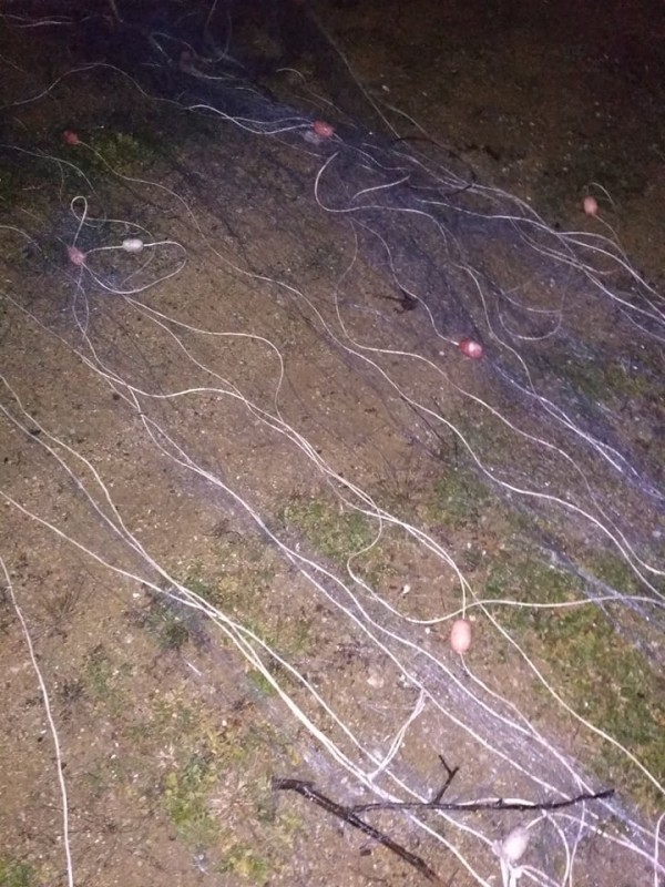 800 метра мрежи извадиха от водите на яз. Жребчево