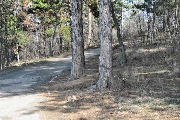 Ремонти и почистване кипят на “Тюлбето“