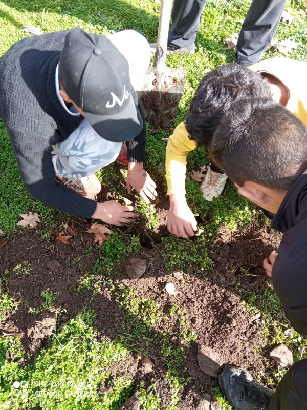 Деца, ученици и клубове засадиха дръвчета, осигурени от “Взаимопомощ“