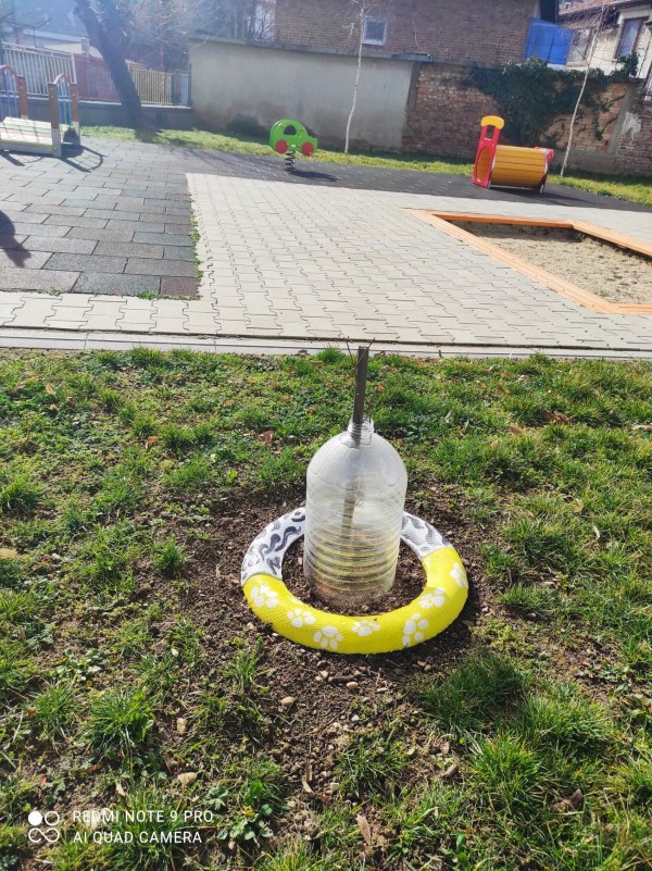 Деца, ученици и клубове засадиха дръвчета, осигурени от “Взаимопомощ“