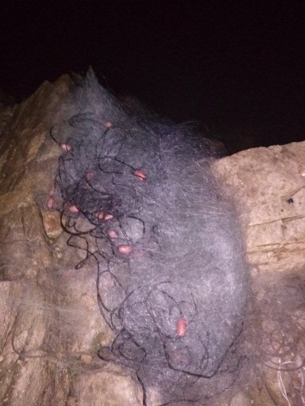 Над 1250 метра унищожени мрежи и 120 кг. спасена риба за 24 часа на яз.Жребчево