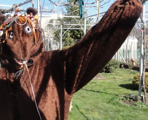 С огромен огън в Ясеново изгониха злите сили. “Лекарка“ постaви и кукерска антиковид ваксина