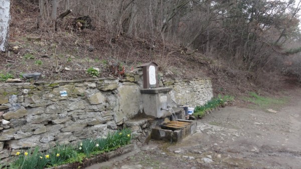 Маркирaха нов път до лечебния извор Светицата 