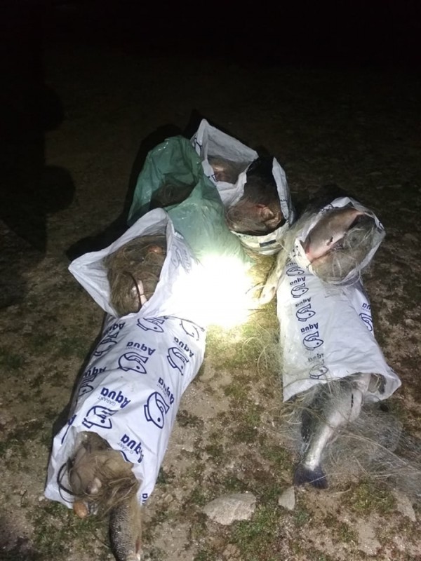 Спипаха бракониери в крачка с огромно количество риба уловена само за час