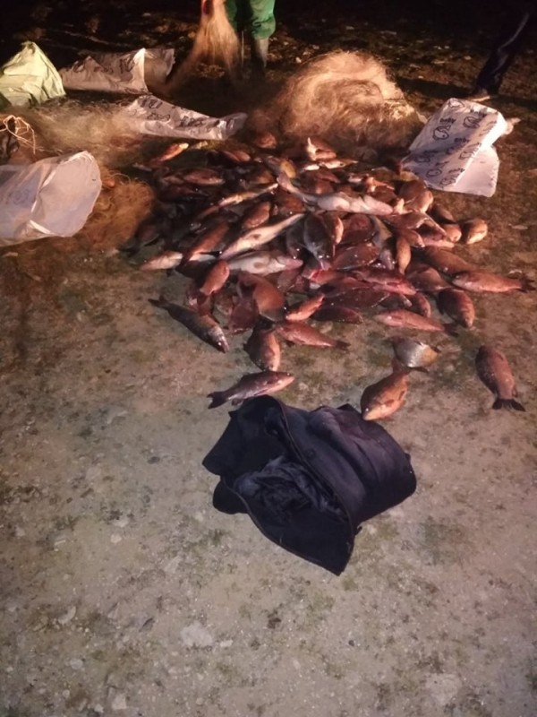 Спипаха бракониери в крачка с огромно количество риба уловена само за час