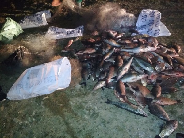 Спипаха бракониери в крачка с огромно количество риба уловена само за час