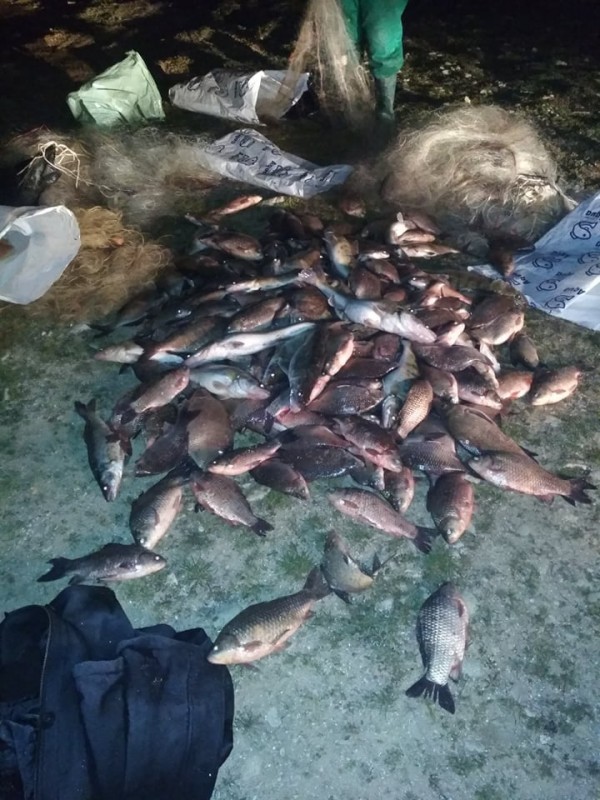 Спипаха бракониери в крачка с огромно количество риба уловена само за час