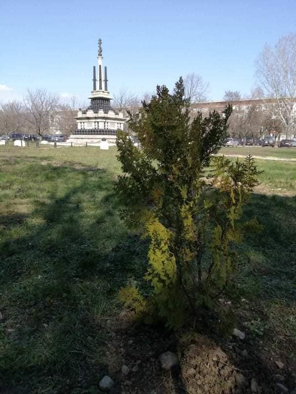 Военни засадиха над 40 фиданки в гарнизона в “Седмицата на гората”