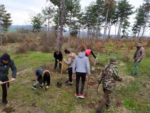 12б клас от Механото засадиха 100 дръвчета и поканиха класната си на бала